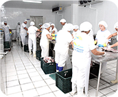 Área de beneficiamento